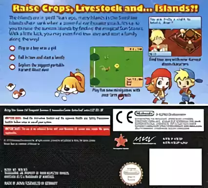 Image n° 2 - boxback : Harvest Moon DS - Sunshine Islands